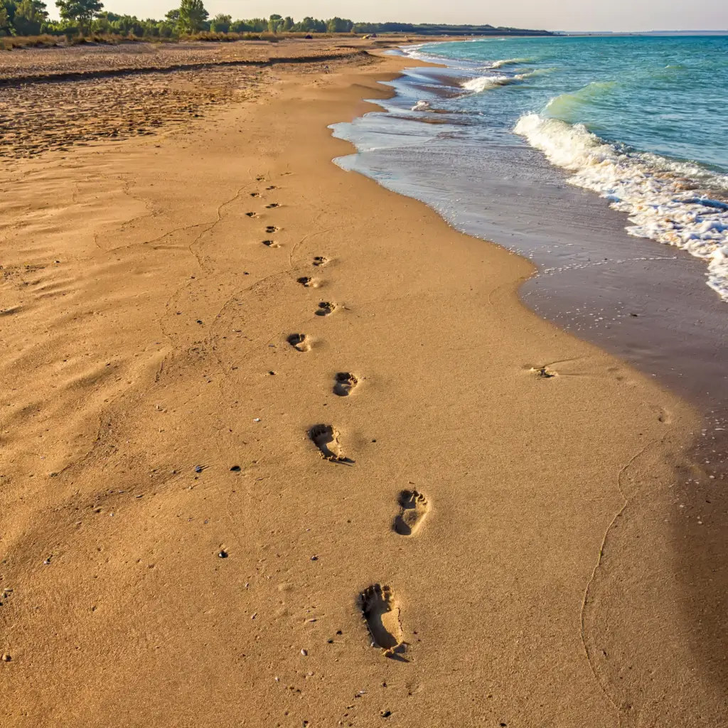 foot prints on sand of beach